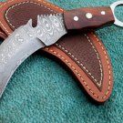 Astonishing Custom Hand Made Marvelous Damascus Steel Karambit Hunting Knife (HK-274)
