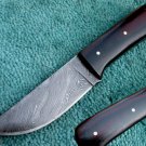 Astonishing Custom Hand Made Damascus Steel Hunting Knife (HK-258)