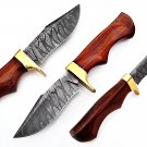 CUSTOM HAND MADE SUPERB QUALITY DAMASCUS STEEL HUNTING KNIFE / SKINNING KNIFE