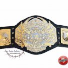 TNA World Heavyweight Championship Wrestling Dual Plating Replica Adult Belt