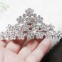 Bride, bridesmaid Wedding Floral Alloy Hair Comb Crystal Rhinestones Tiara 435