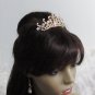 Bride, bridesmaid Wedding Elegant Alloy Hair Comb,Golden vintage Crystal Rhinestones Tiara 758g