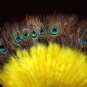 Coque Rooster Handmde Peacock eye & yellow marabou feather Fan;Bridal Party Chandelle Fluffy Fan#3y