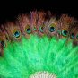 Coque Rooster Handmde Peacock eye & green marabou feather Fan;Bridal Party Chandelle Fluffy Fan#5gr