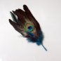 Peacock Eye Turkey feather; fluffy marabou Feather Stick Pin #FP1B