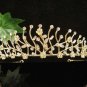 Floral Glamour Birthday Headpiece ;Bride Regal;Dancer Tiara;Party Occasion Hair accessories#1370g