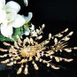 Golden Bridal crystal comb ;Floral hair comb;Wedding tiara;bride headpiece ;opera accessories#50g