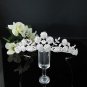 Silver Floral Bridal Tiara;Bride regal ;dancer regal ;Rhinestone Wedding Headband;opera tiara#7653