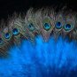 Coquet Rooster Peacock eye marabou feather Fan;Bridal Party Chandelier Fluffy Fan;ncer #4b