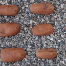 Original Vintage  Folk Art Brazilian Wood Milagro Ex-Votos Abdominal Parts Lot 1
