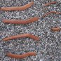 Original Vintage Folk art Brazilian Wood Milagro Ex-Votos Bones Lot 4