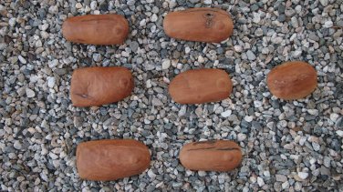 Original Vintage Folk Art Brazilian Wood Milagro Ex-Votos Abdominal Parts Lot 1