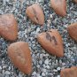 Original Vintage Folk Art Brazilian Wood Milagro Ex-Votos Abdominal Parts Lot 1