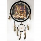 13" Dream Catcher - Deer  SWED-DCB1326