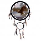 13" Dream Catcher - Eagle  SWED-DCB1337