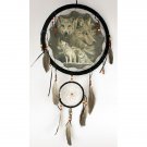 13" Dream Catcher - Wolves  SWED-DCB1327