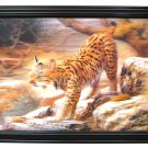 Bobcat 3-D picture REDUCED - SWIWG    0126-3D2893