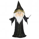 Wizard Mascot Costume - SWWHC-55733
