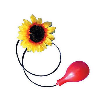 Squirting Clown Flower - SWWHC-755096FF