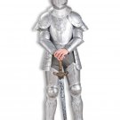 Mens Knight In Shining Armor Costume - SWWHC-62881F