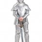 Mens Knight In Shining Armor Costume - SWWHC-62881F