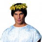 Roman Wreath - SWWHC-322313