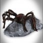 23 Inch Brown Jumping Spider Animatronics - Decorations SWSPRIT-01174804
