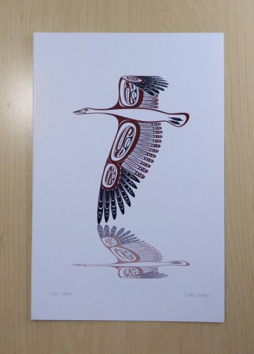 Snow Goose Todd Baker Art Card Coast Salish Native