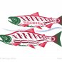 Natural Spawning Salmon Clarence Mills Art Card Northwest Coast Haida Native