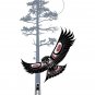 Owl Night Hunter Richard Shorty Art Card Northern Tuchone Yukon Native