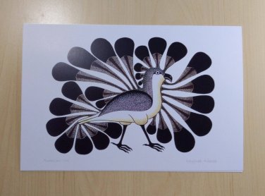 Audacious Owl Kenojuak Ashevak Art Card Inuit Native