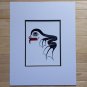 Haida Frog by Clarence Mills  11"x14" Matted Art Print West Coast Native