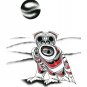 Snowy Owl Richard Shorty Art Card Northern Tuchone Yukon Native