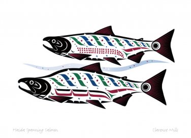 Haida Spawning Sockeye Clarence Mills Art Card Northwest Coast Native