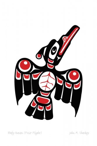 Baby Raven First Flight John A Sharkey Art Card Coast Salish Native