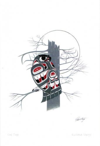 Owl Tree Richard Shorty Art Card Northern Tuchone Yukon Native
