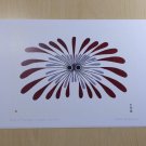 Burst of Plumage Padloo Samayualie Art Card Inuit Native