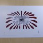 Burst of Plumage Padloo Samayualie Art Card Inuit Native