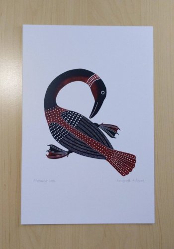 Preening Loon Kenojuak Ashevak Art Card Inuit Native