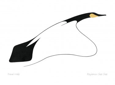Proud Male Benjamin Chee Chee Art Card Ojibway Native