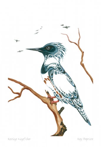 Resting Kingfisher Ray Baptiste Art Card Ojibway Native
