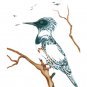 Resting Kingfisher Ray Baptiste Art Card Ojibway Native