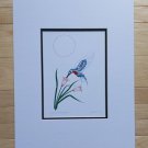 Serenity Hummingbird by Richard Shorty  11"x14" Matted Art Print Tutchone Native