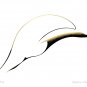 Sun Bird Benjamin Chee Chee Art Card Ojibway Native