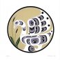 Swan Rande Cook Art Card Northwest Coast Native