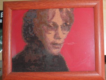 Warren zevon completed cross stitch
