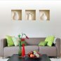 NEW SET 3 PCS Wall Sticker 3D ART MAGIC PICTURE REMOVABLE VINYL HOME DECAL DECOR