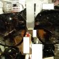 SUNGLASSES FASHION WOMEN'S DESIGNER EYEWEAR V32314SARW
