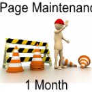 1 Page Website Maintenance (1 month)