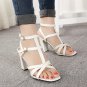 Cozy Hollow Out Pure Color One-buckle Belt Open Toe Chunky Heel Women Sandals